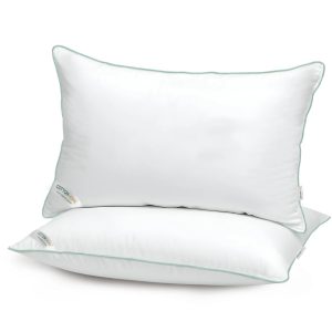 Silk Microfiber Pillow
